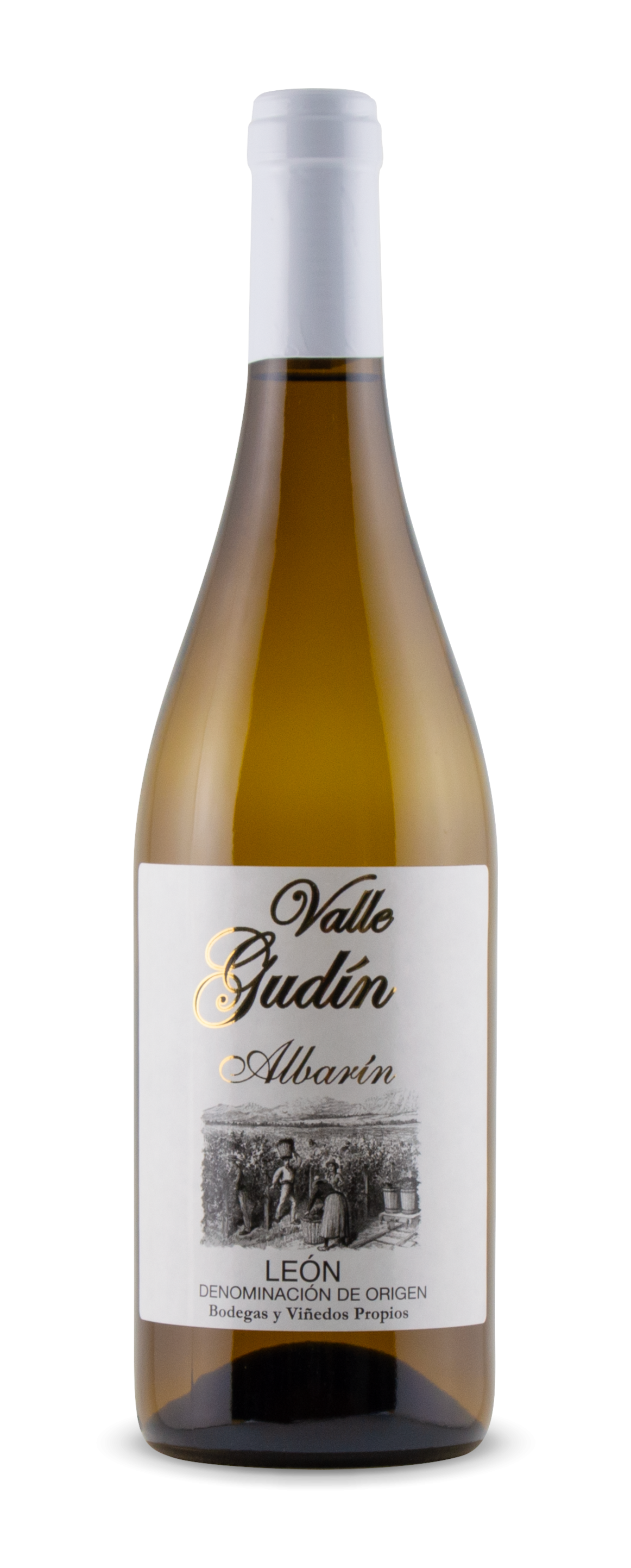 vino-valle-gudin-albarin