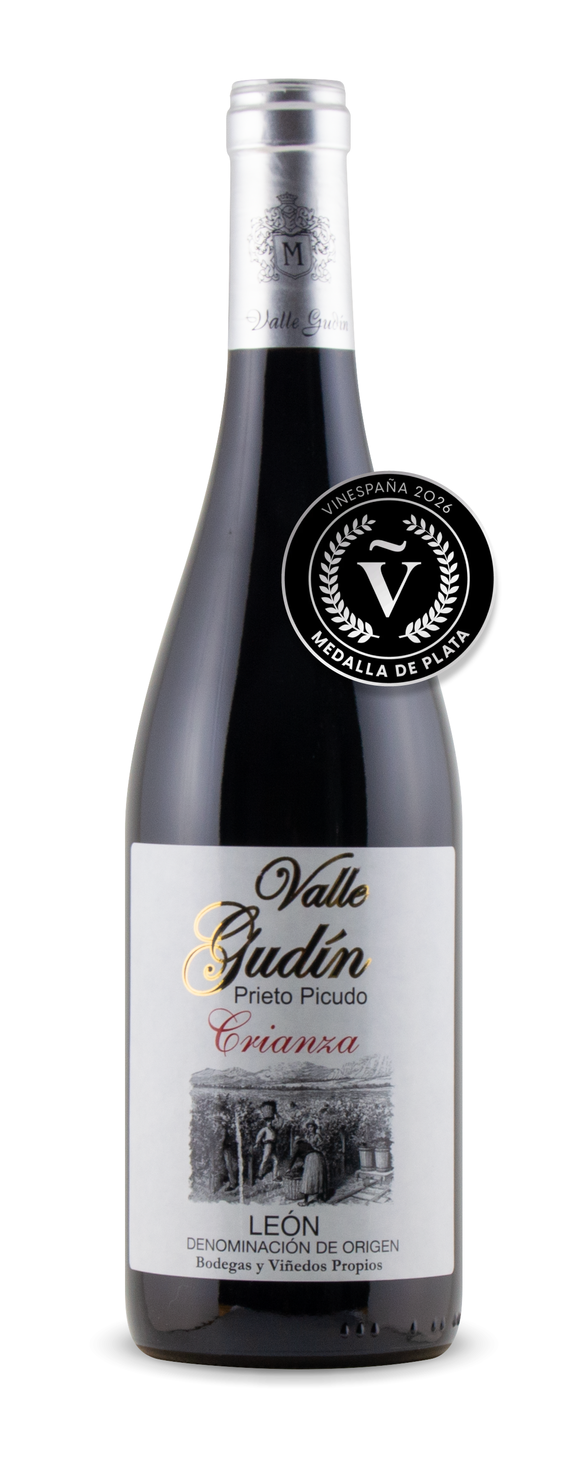 vino-valle-gudin-tinto-crianza-premios