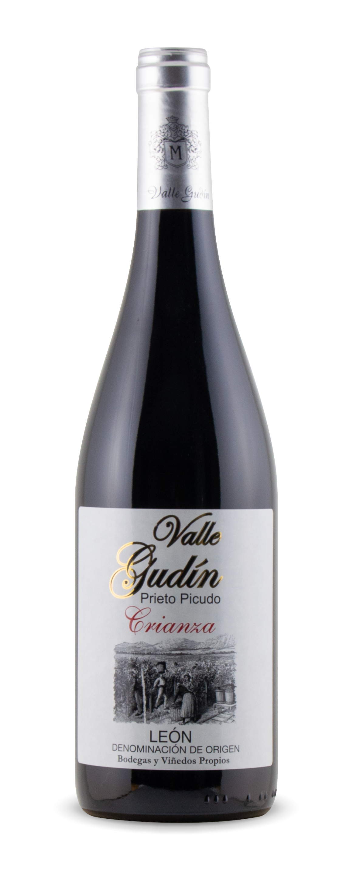 vino-valle-gudin-tinto-crianza